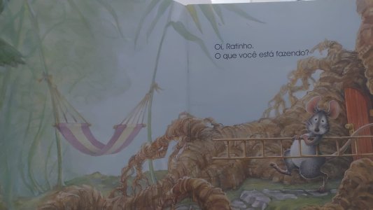 O Ratinho, O Morango Vermelho Maduro, e O Grande Urso Esfomeado, Don e Audrey Wood, Ilustrado por Don Wood